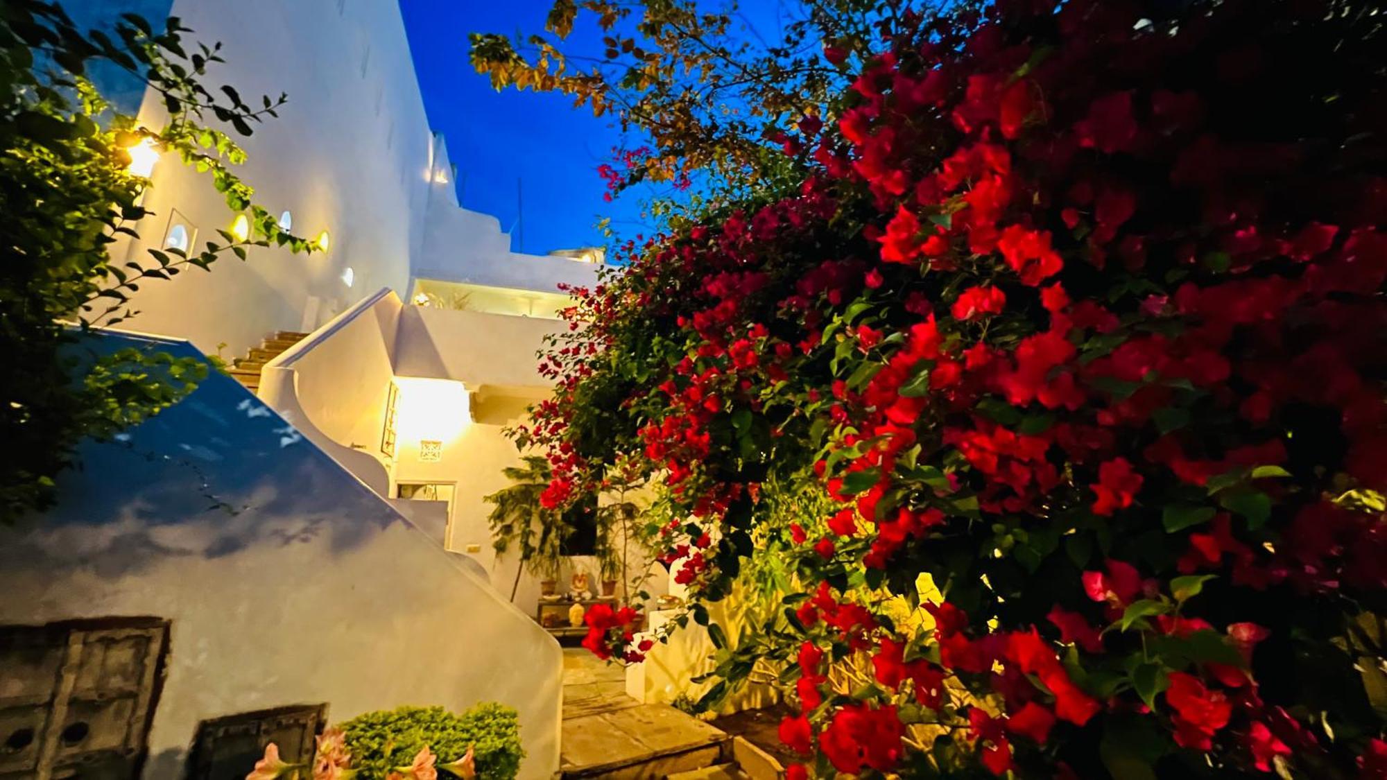 ג'איפור Mosaics Guest House מראה חיצוני תמונה